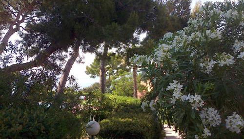 Le petit havre de mer, climatisé avec vue mer - Photo 2, Garden