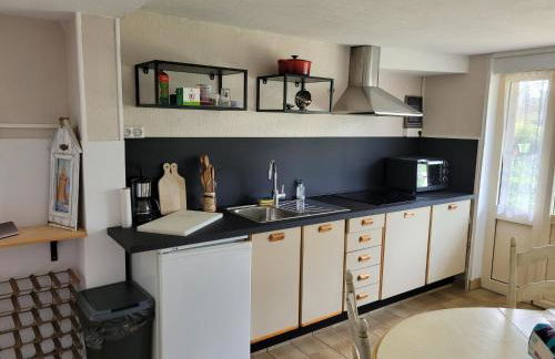 saint lunaire - Photo 11