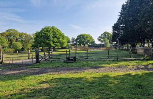 Country retreat near sea and South Downs, on National Cycle Network - Foto 16
