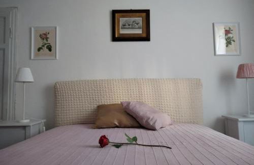 Green house di Giovanna - Foto 22