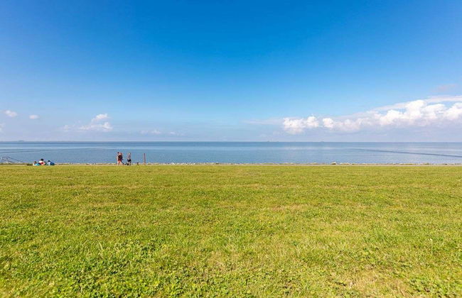 Halligstork - Foto 18