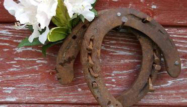 Ferienhof Ekenhoff - Foto 4, pet friendly, Other