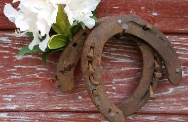 Ferienhof Ekenhoff - Foto 4