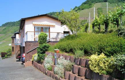 Urlaubsweingut Zecherhof - Photo 11