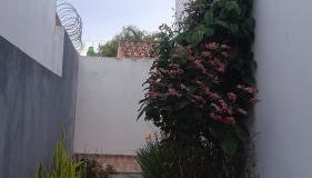 Paraíso do Peró - Photo 5, Garden view