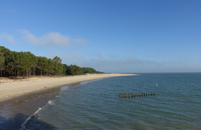 Les Sables Vignier - Foto 19