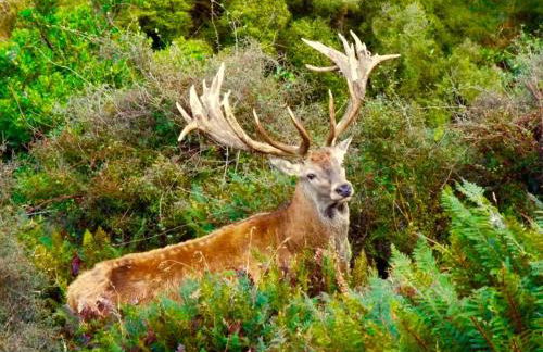 Casa dos Desenhos - Foto 7