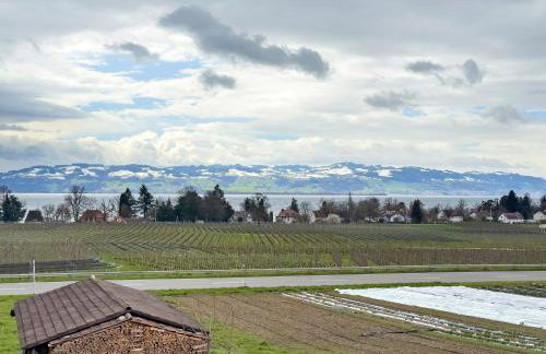 Obst- Und Ferienhof Marschall - Foto 56