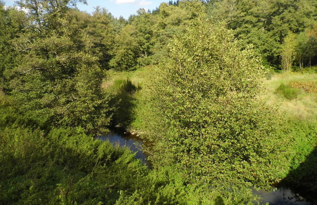 Le Haut d'Ancette - Foto 18