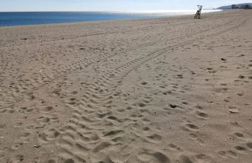 Beach Diamond - Photo 42