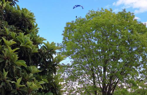 Casa Paola - Foto 12