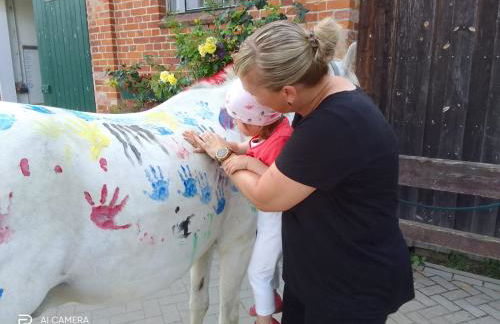 Ferienanlage Gutshaus Gramkow - Foto 72