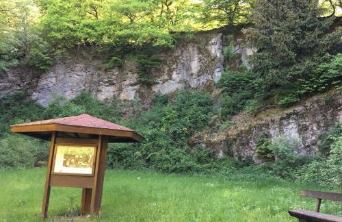 Wohnung mit Terrasse in Waldbrunn-Ellar - Foto 35