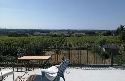 Domaine des Ortinieres - Foto 13