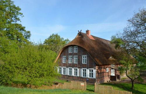 Deichkind - Reetdachhaus direkt am Elbdeich - Foto 6