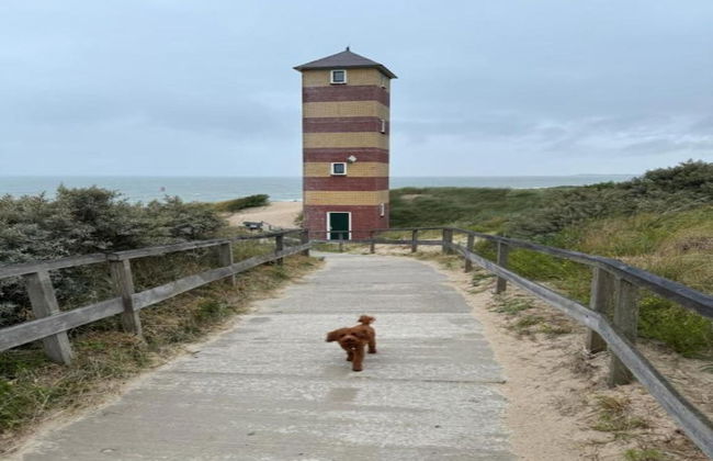 Luxury Villa, 2 Baths, nr Beach - Photo 33