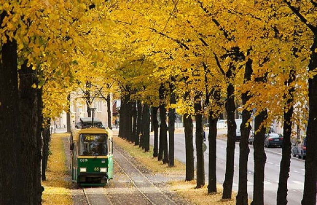 Helsinki Tram Tour - Photo 3