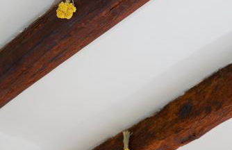 Apartaments la Rambla - Arbequina - 6 persones - Foto 28