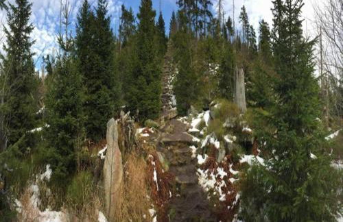 Ferienhaus in Konzell mit Terrasse - Foto 25