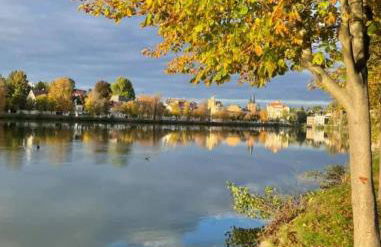 Ferienwohnung am großen Teich - Foto 17