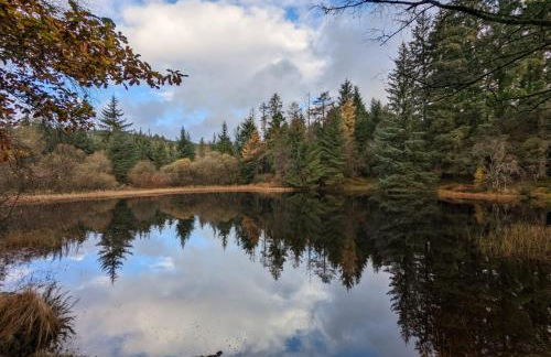 Nordlys Cottage - Foto 61