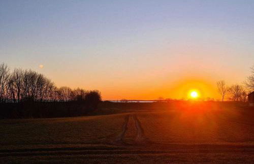 Old Merchant on the Baltic Sea Beach - Photo 32