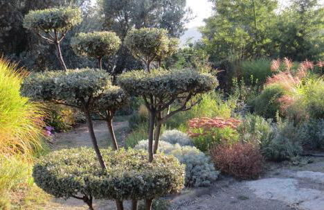 Cortijo Opazo - Foto 13