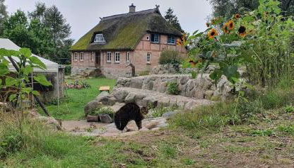 Apartment Kliemkiker, Nähe Binz in traumhafter Alleinlage - Foto 4, Garden, Garden view