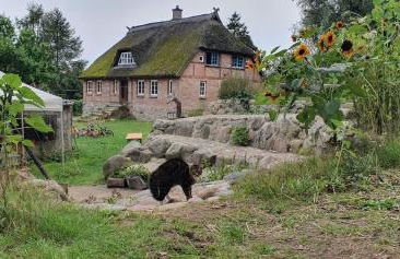 Apartment Kliemkiker, Nähe Binz in traumhafter Alleinlage - Foto 4