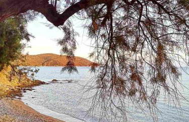 Blue Window - Photo 16