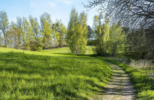 6 Person Holiday Home in Frederiksvaerk - Foto 22