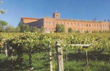 A casa di Marco Guesthouse - Apt di Ciampino e stazione per Roma - Foto 38
