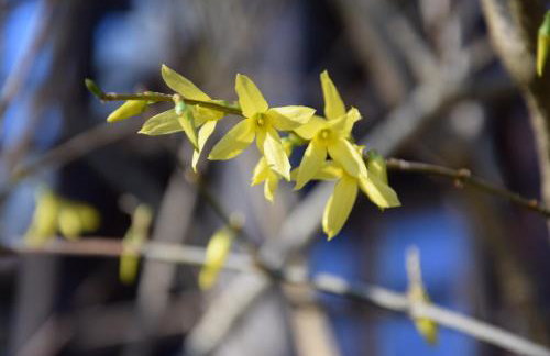 Studio Gościnne ANTEK - Foto 24