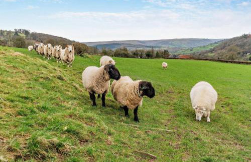 2 Bed in Crickhowell oc-mawrw - Foto 26