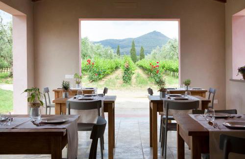 Agriturismo Tra gli Ulivi, Chiappini Winery - Photo 7