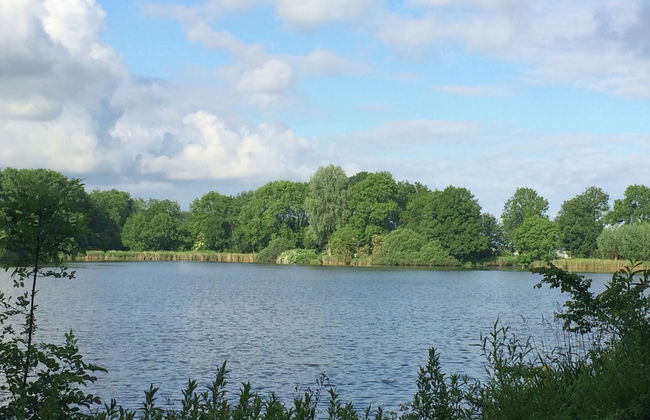 Beautiful Bungalow Near Alkmaar - Photo 15