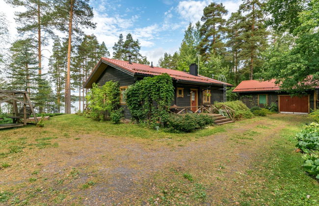 Metsä-iivari - Foto 2