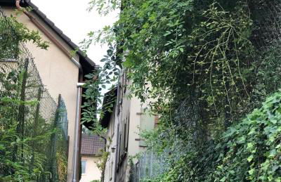 Ferienwohnung am Gässle - Foto 44