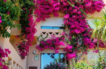 Apartamentos Turísticos Buganvilia - Foto 47