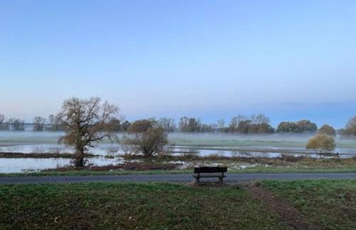 Holiday Home Haus Elbrose inmitten von Rosen mit Elbdeichzugang by Interhome - Foto 15