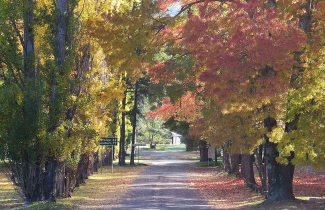 Wombeyan Caves - Foto 1