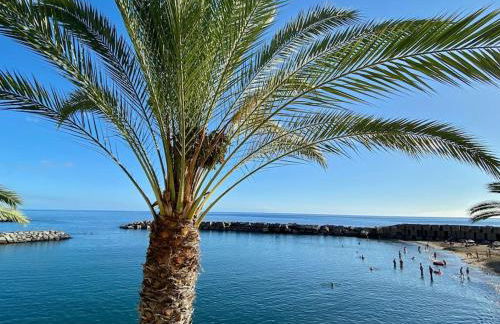 The Vibe Madeira Apartment 2 - Photo 1