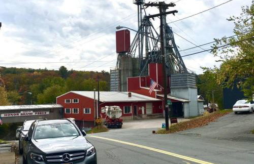 Zen in Narrowsburg Retreat near Town - Foto 18