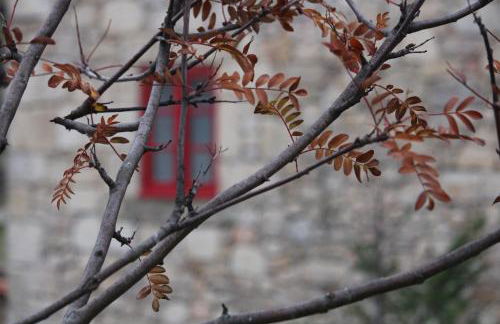 Casa do Tio João - Foto 27