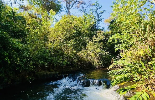 Sítio Rio Gouveia - Foto 18