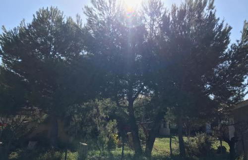 Casa Rural La Granja - Foto 31