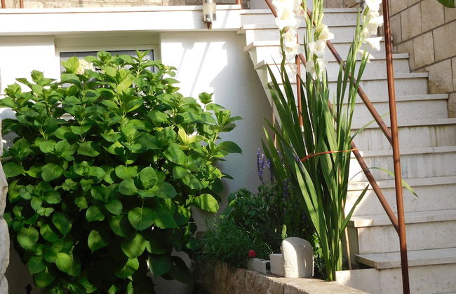 Apartments Ivancevic - Foto 60