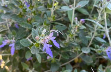 Agriturismo Valdo - Foto 15