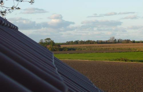 Krosse Krabbe - Foto 23