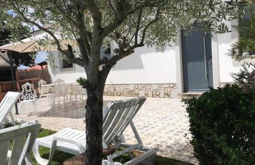 Ribeirinho da Serra - Foto 13